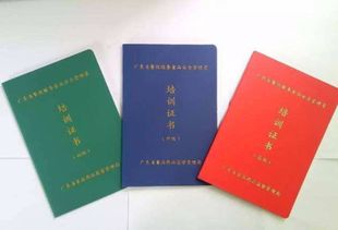 食品安全管理員在歌舞活動中的主要職責(zé)